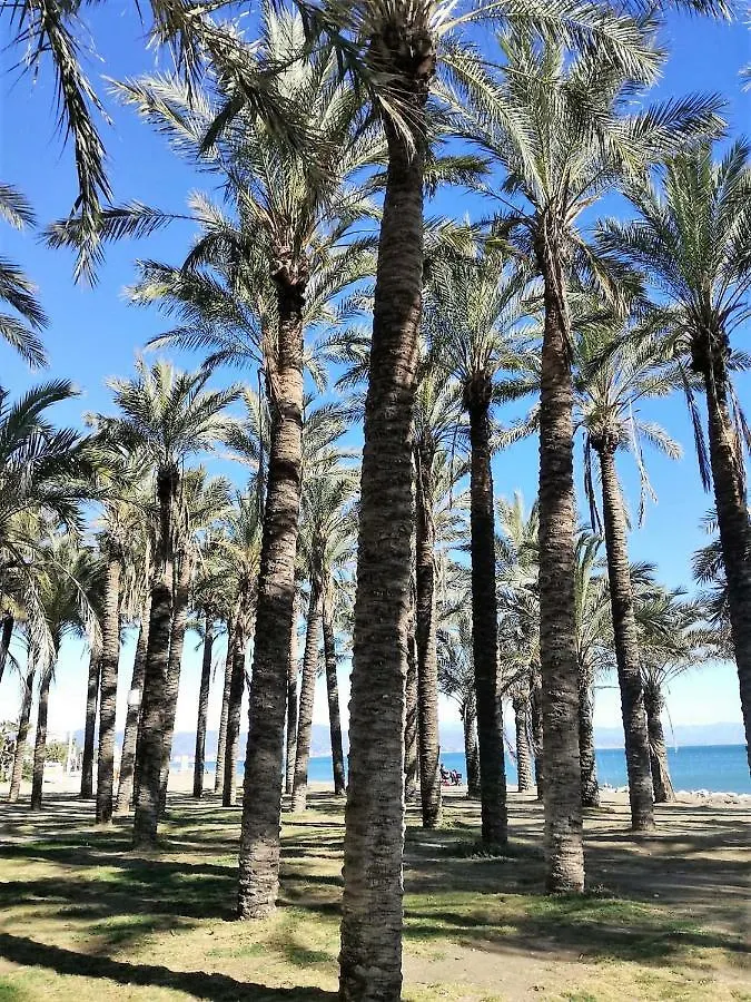 Apartmán Salome 4 Torremolinos 0*,